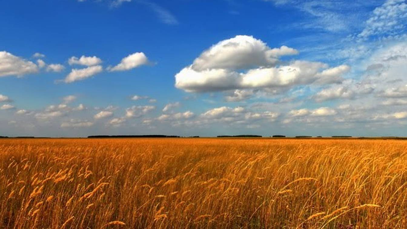 Прогулки по Алтайскому краю