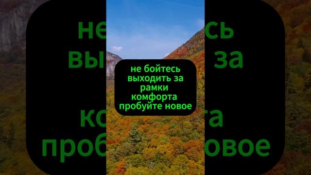Жизнь река