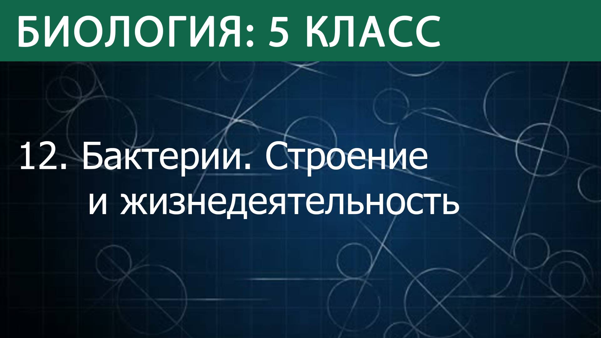 Биология 5 класс: Бактерии. Строение и жизнедеятельность