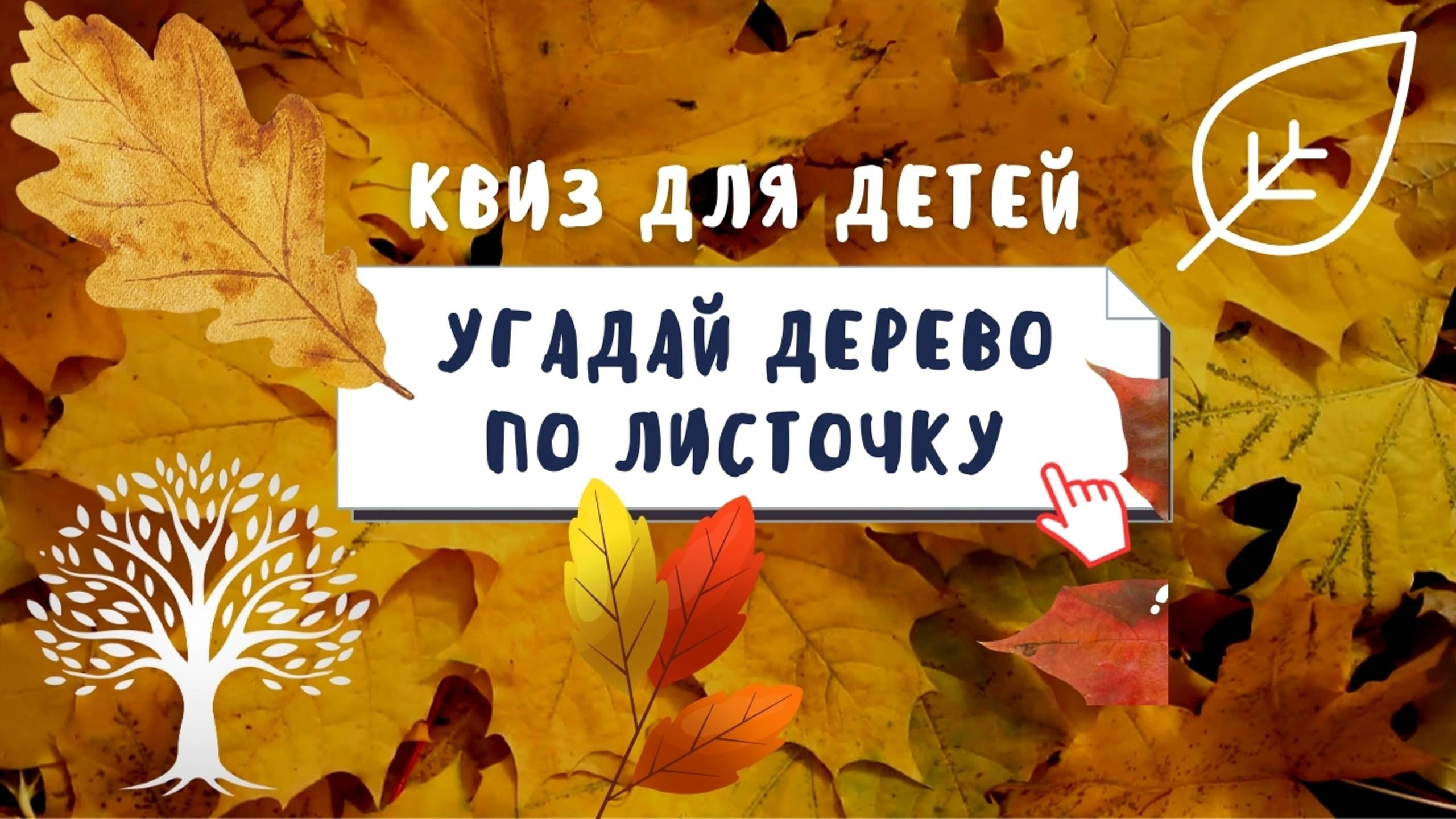 Квиз: угадай дерево по осеннему листу 🍁 Викторина по осени для детей
