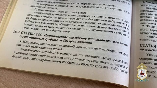В Нижнем Новгороде полицейские задержали пьяную девушку, угнавшую такси