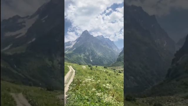 "А в полях трава густая".  #авторскаяпесня #природа #russianfolkmusic