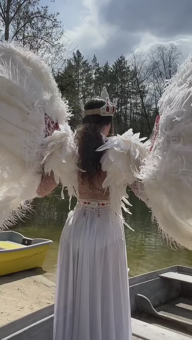 Царевны лебеди