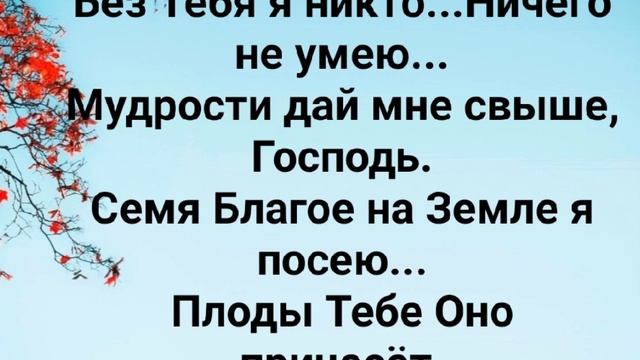 "ИЗБРАННИК Я ТВОЙ!" Слова, Музыка: Жанна Варламова