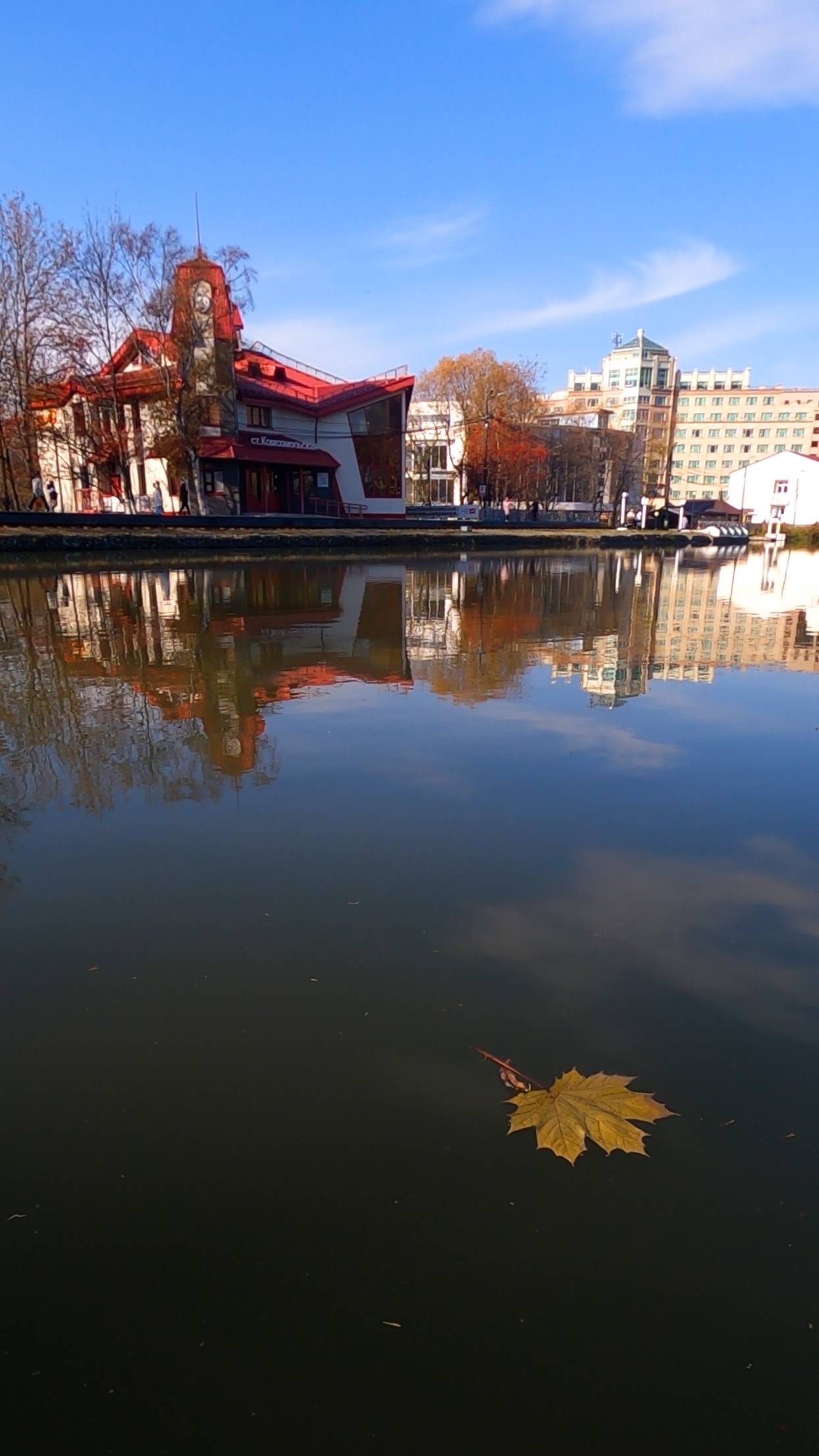 Осень в городском парке Южно-Сахалинска #сахалин #природа #дневникпутешественников