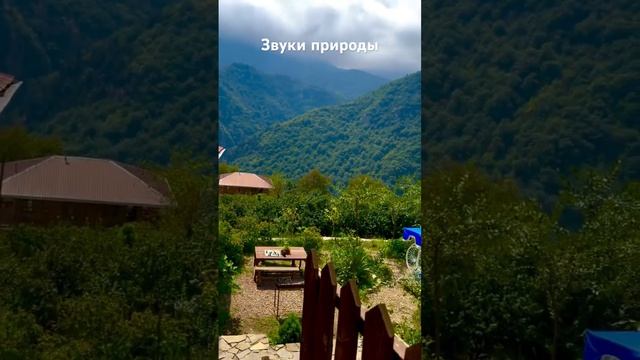 #nature #forest #relaxing #landscape #иран #iran #mazandaran #gilan #khazar #caspiansea #shomal