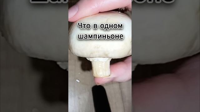 шампиньоны