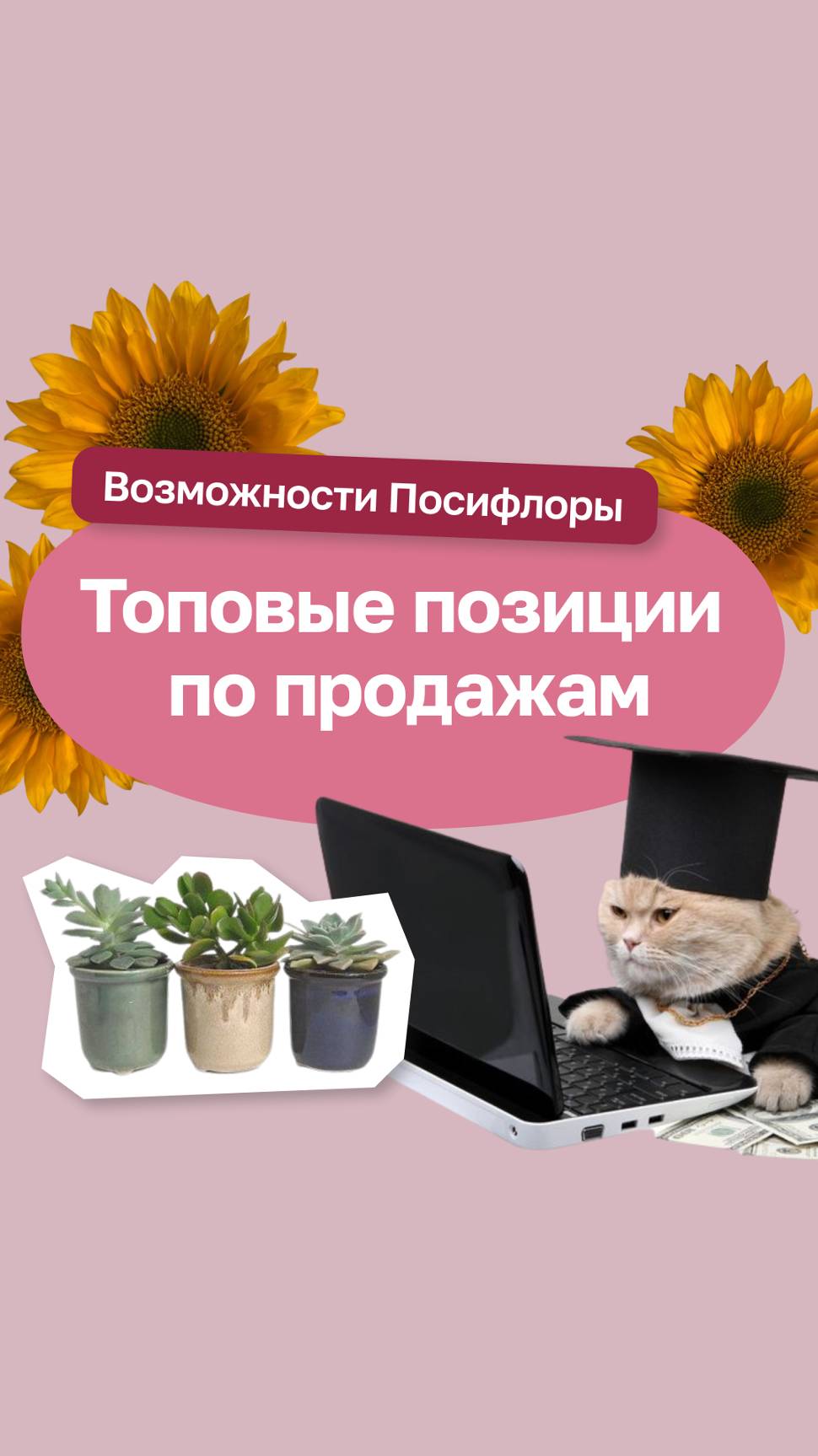 Как узнать топовые позиции по продажам, чтобы скорректировать закупки? Подключить Посифлору