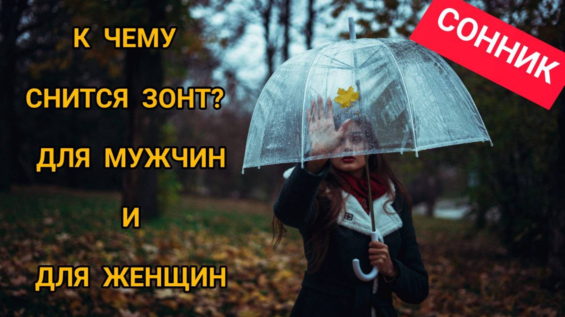 К чему снится зонт?