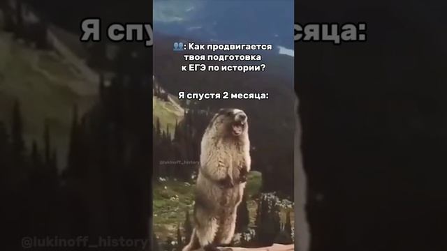 Я - Паша Лукин, готовлю к ЕГЭ по истории более 7 лет, эксперт ЕГЭ, преподаю в ВУЗе, подписывайся 🫶