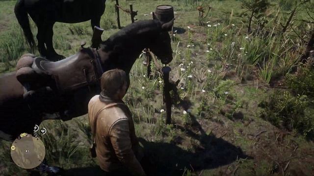 Red Dead Redemption 2 | Охота, ну почти [6]