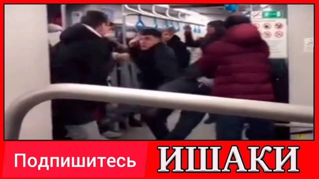 Пассажир подрался с мигрантами из-за оскорбления женщины в вагоне поезда МЦК