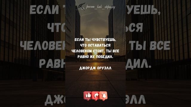 Жизненная мудрость.