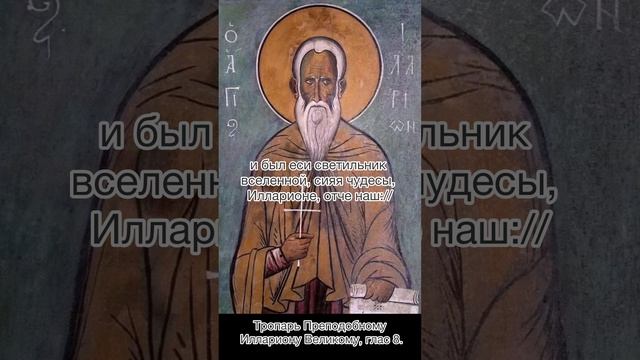 Тропарь Преподобному Иллариону Великому, глас 8, 3 ноября по н.с.