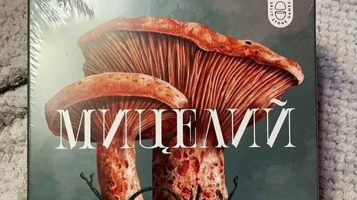 Мицелий