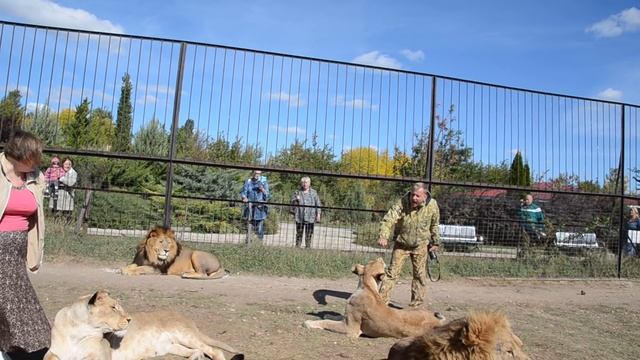 'Чоли ,САНКЦИИ ,ЕВРОПА ,МЕРКЕЛЬ !' Стерва проявляет характер !