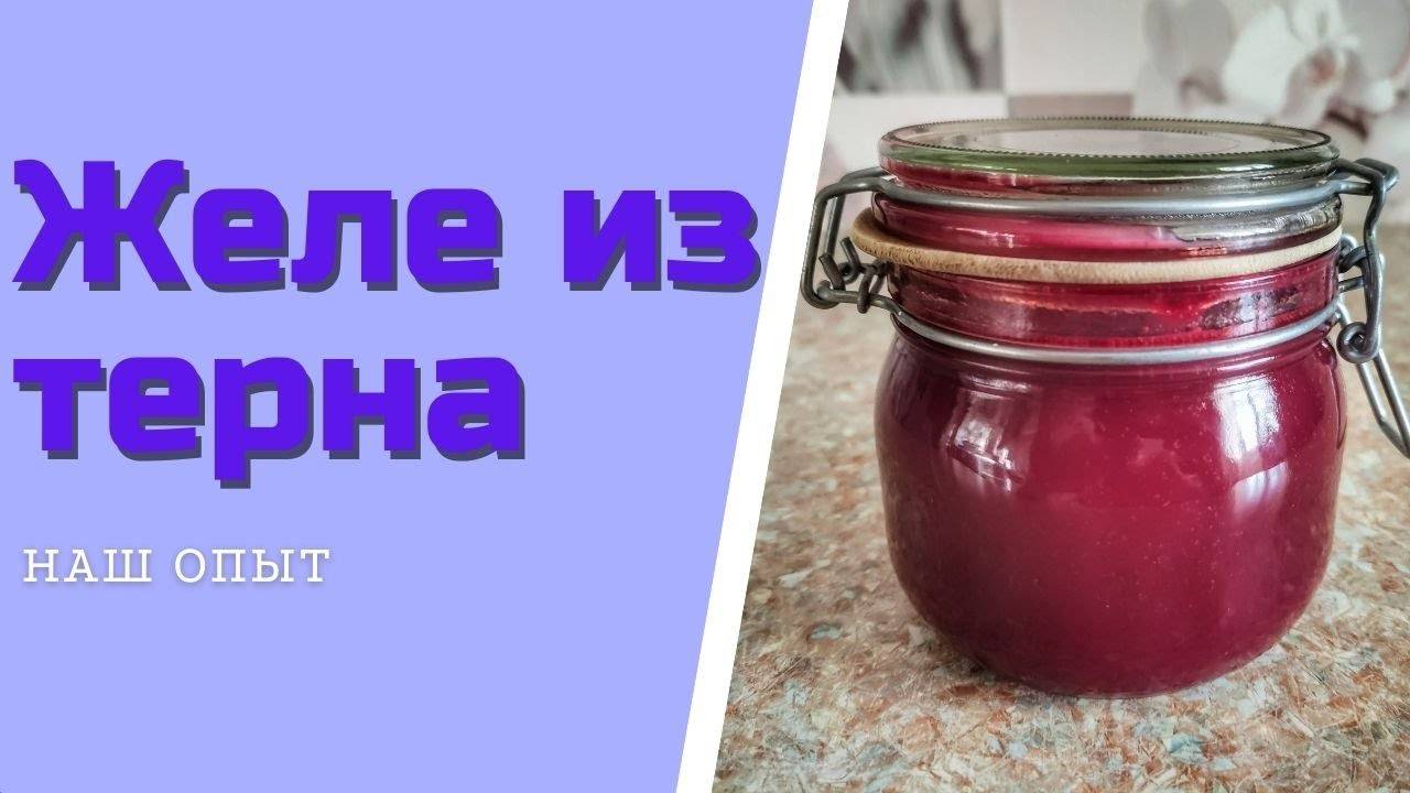 ЖЕЛЕ ИЗ СЛИВЫ ТЕРНА на зиму без косточек простой рецепт