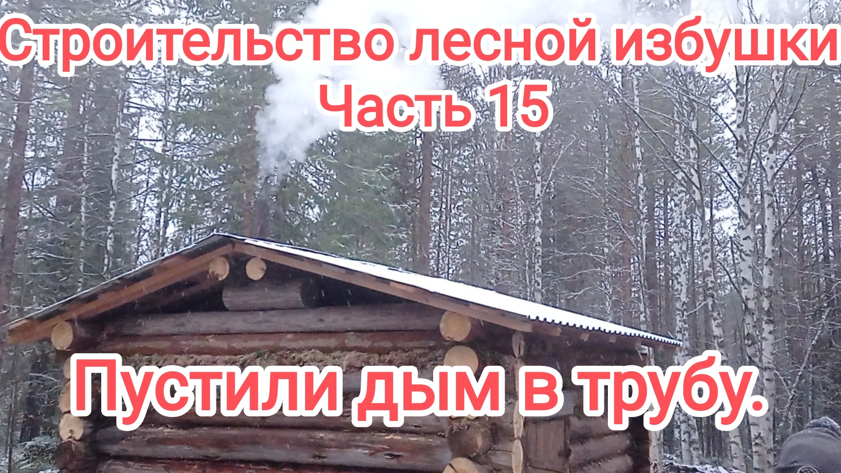 Строительство лесной избушки. Часть 15. Пустили дым в трубу.