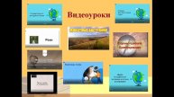 Барышникова Н.А. Развитие учебной мотивации у обучающихся с умственной отсталостью