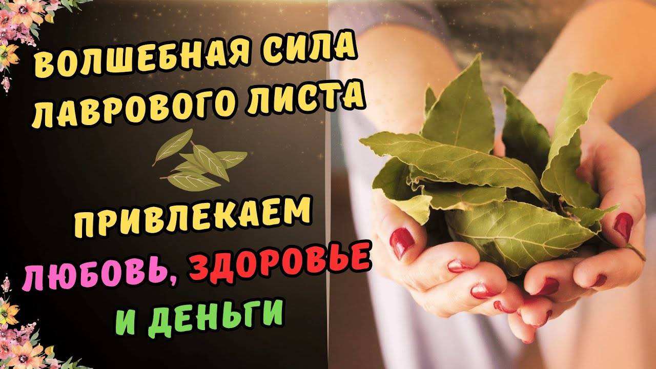 ✨ВОЛШЕБНАЯ СИЛА ЛАВРОВОГО ЛИСТА | Привлекаем любовь, здоровье и деньги