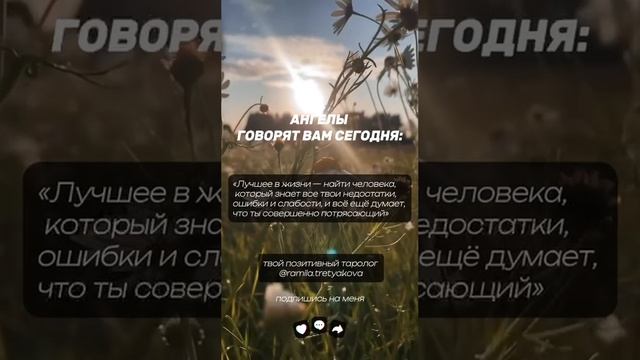 Хотите легально зарабатывать на Таро? 📑