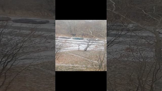 VID_20241102_104902.mp4