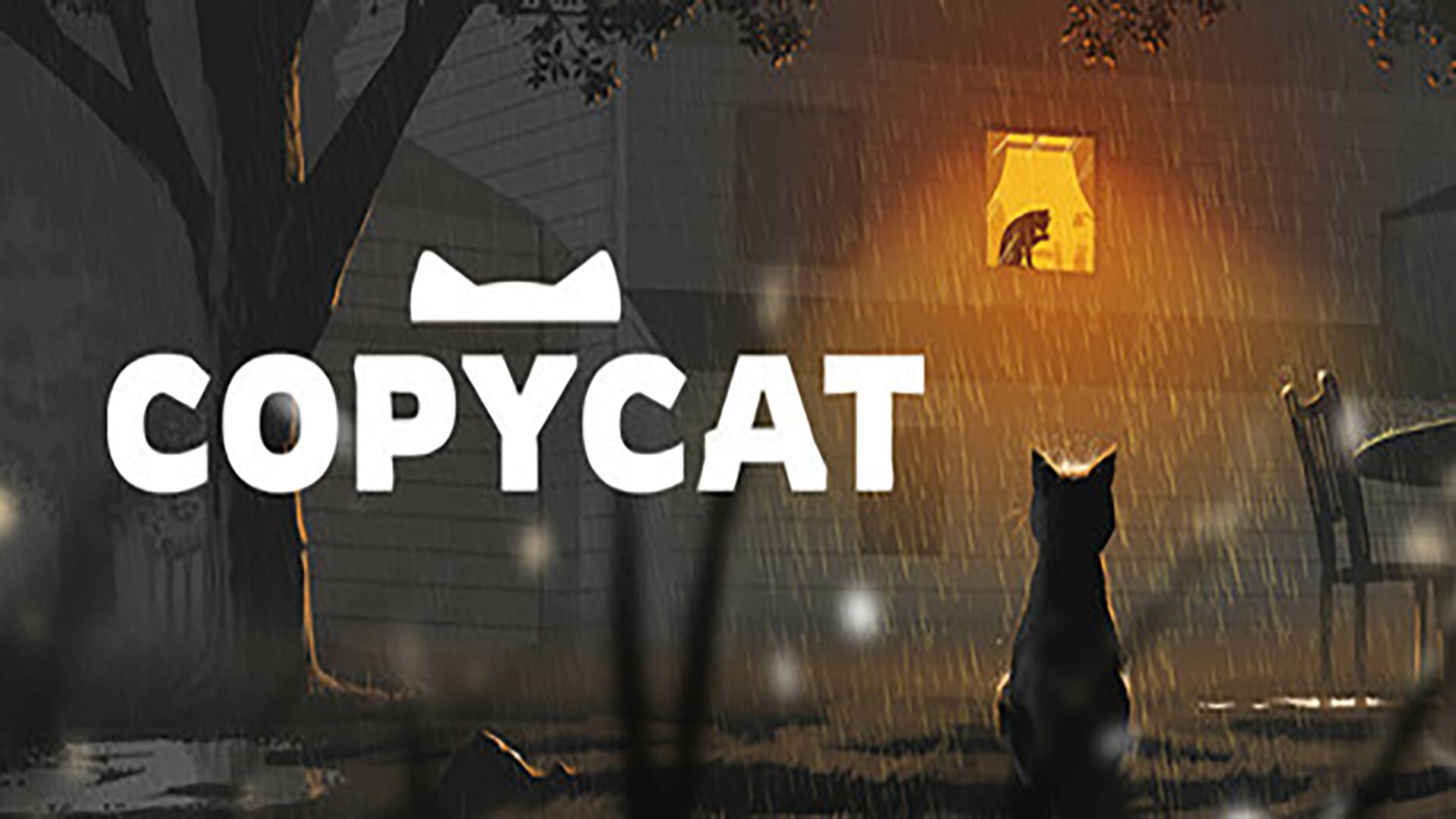 Copycat\ История кота