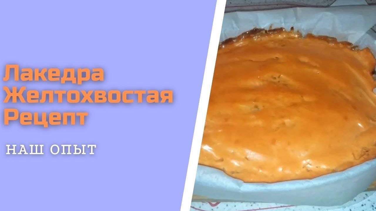 Лакедра Желтохвостая Рецепт Приготовления В Духовке