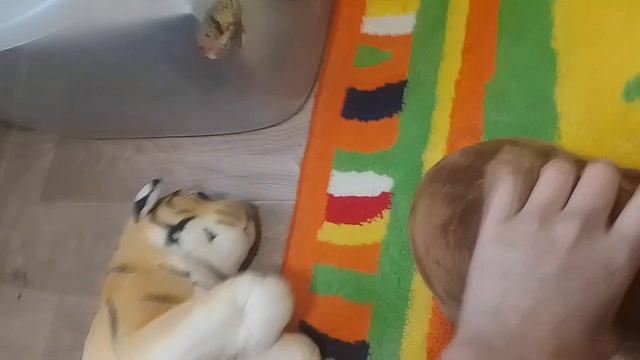 Странный подвал 5 часть🦆🐦
