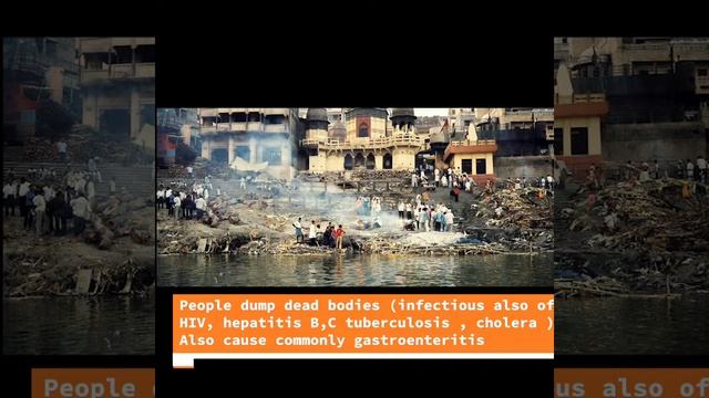 Yamuna pollution#human interfere