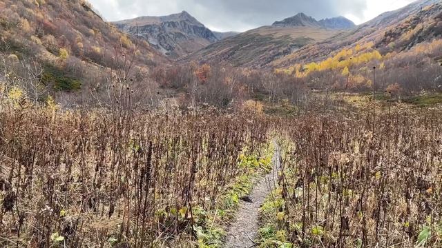 8 маршрут Кавказского заповедника. #черезгорыкморю