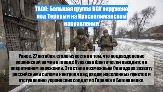 ТАСС: Большая группа ВСУ окружена под Тернами на Краснолиманском направлении