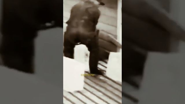УНИКАЛЬНЕЙШИЙ ледяной авианосец