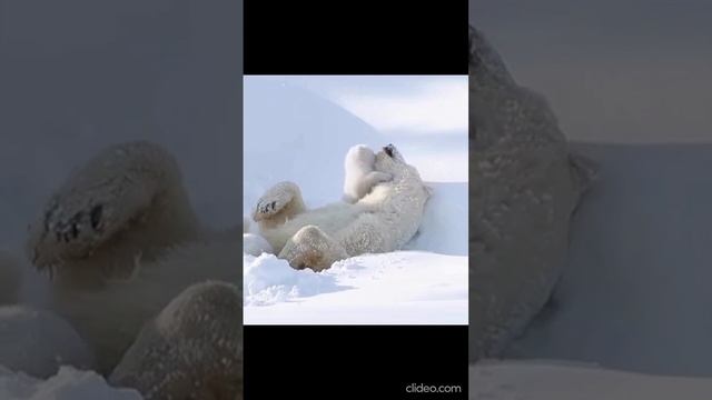 сборник