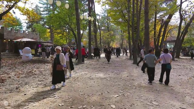 가을 단풍 절정인 남이섬, 엄청난 인파로 마비! 외국인들로 북적북적, 미우새 임원희, 안문숙, 양정아, 김승수의 남이섬, 가을단풍 절정 짚라인 뷰, 서울여행워커.