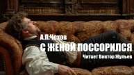 «С ЖЕНОЙ ПОССОРИЛСЯ». А.П. Чехов. Аудиокнига