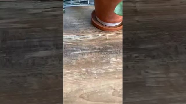 супер варежка