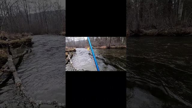Тайга, река, рыбалка-кайф для души)