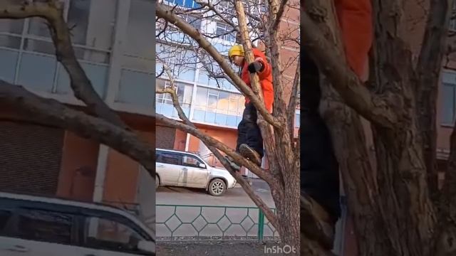 Тимка лезет на дерево что бы посмотреть скворечник по ближе