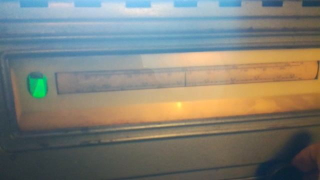 VID_20220313_184659