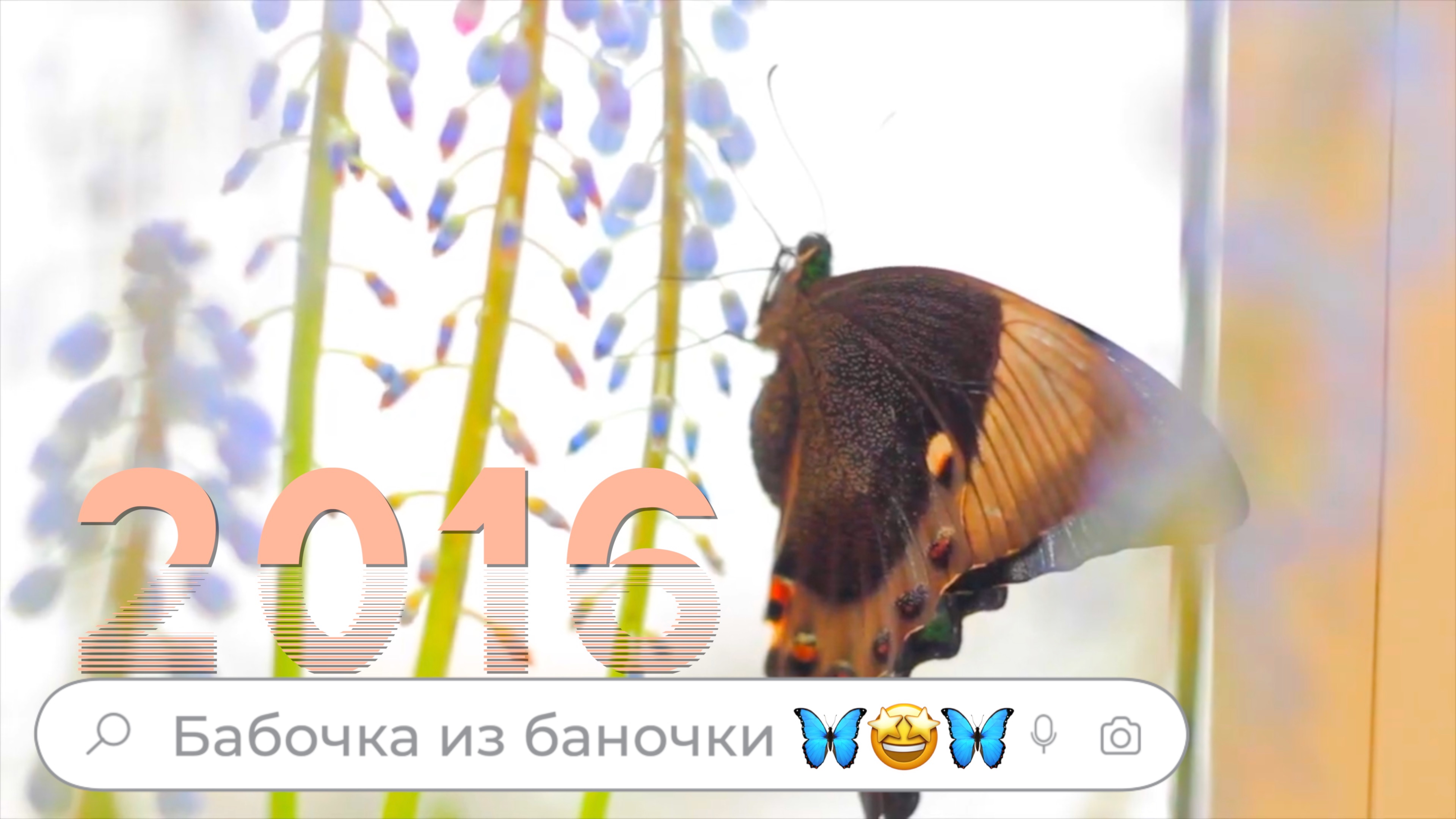 Московская весна с бабочками из баночки🦋