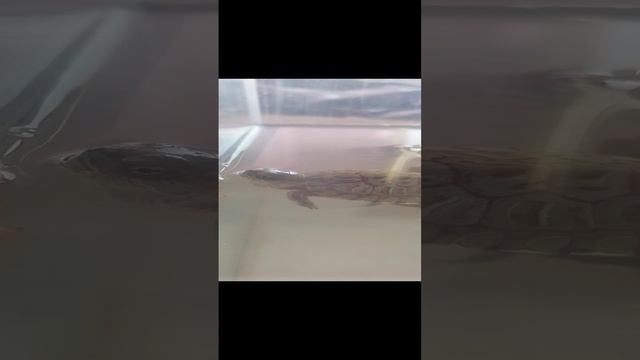 VID_20240930_131456