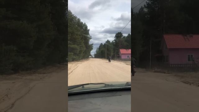 АмерикЭн бой