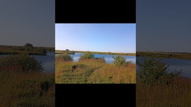 Родные края