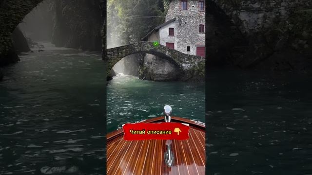 Реши жить своей жизнью