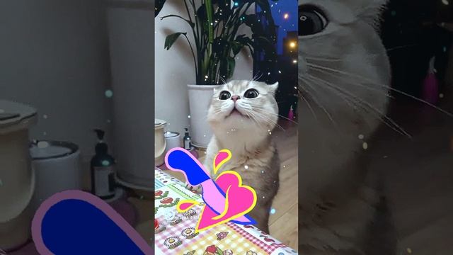 Я к тебе со всей душой, а у тебя ко мне интерес небольшой...💘💘💘😍😍😍