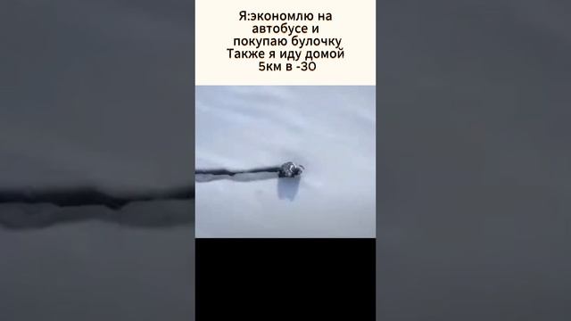 https://t.me/SAF1NE11#shorts #viral #viralvideo #reel #Зима#прикол #мем