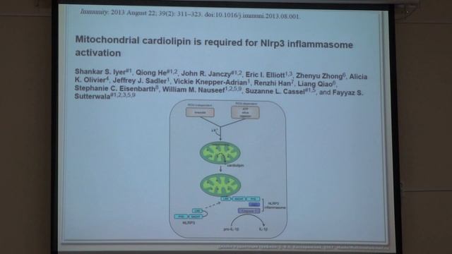 Черняк Б. В. - Структура и функция митохондрий - Митохондрии и врождённый иммунитет