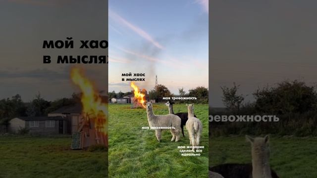 Тревожность