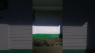 Мойка фасада и витражей до 6 метров (Спектр выполняемых услуг) aquahimprofi.online #владивосток